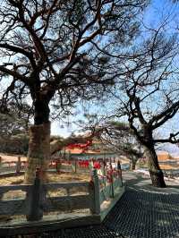 延吉東來寺 | 一日淨化心靈之旅攻略