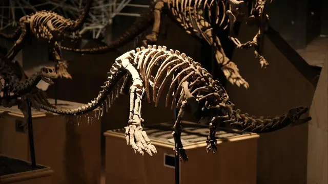 楚雄世界恐龍谷，讓你親近大自然