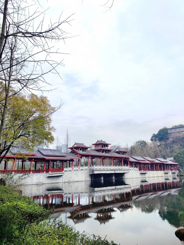 春日漫步：彩雲湖公園