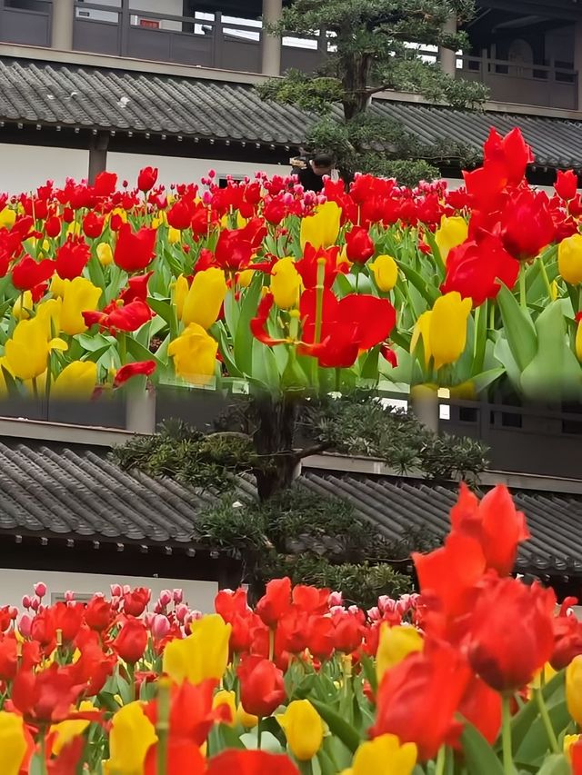 太抵啦！喺廣州唔使花一分錢就可以留足一日