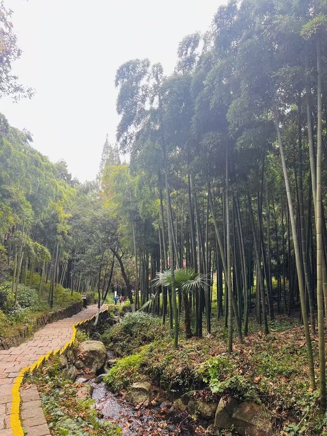 各位朋友仔快啲入嚟睇！浙江湖州兩日遊超強攻略