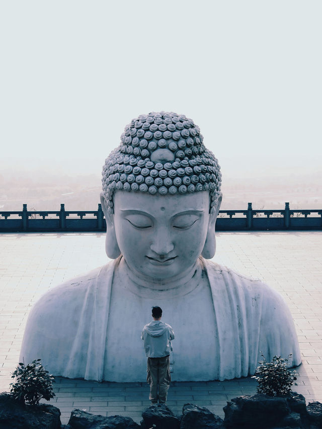 小眾一日遊｜我在南京發現了人間仙境海天佛國