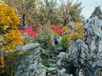 Four Amaxing Classical Lingnan Gardens of Guangdong: Visiting All of Them