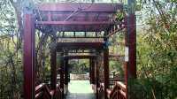 3月初的北塢公園，準備迎春了！