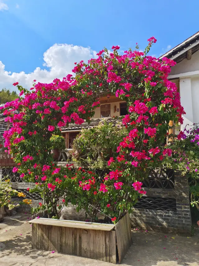 7-Day Tour of Xiamen, Gulangyu, and Quanzhou: A Trip Worth Taking