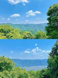 松山寶藏旅遊攻略，一篇就夠！