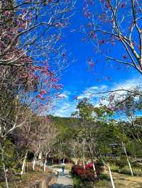 📍深圳｜恩上濕地公園👉週末吸氧好去處