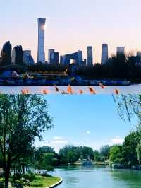 朝陽公園隱藏的秘境，99% 的遊客都錯過？