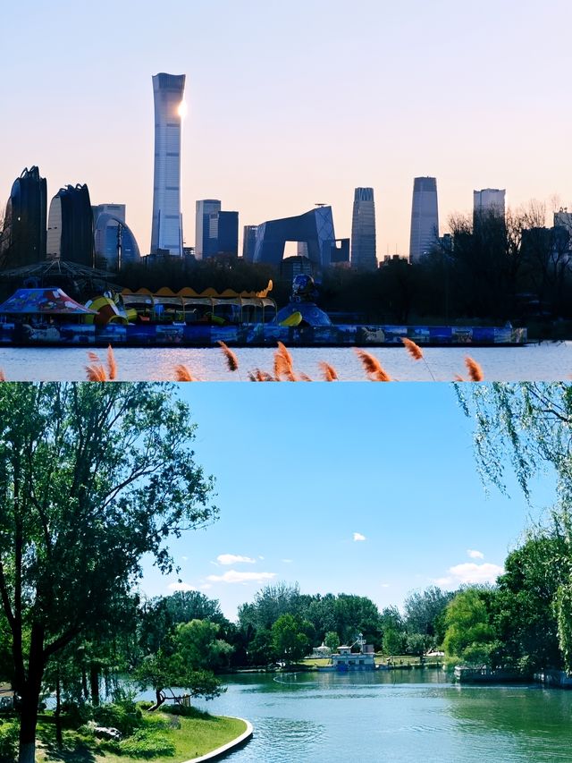 朝陽公園隱藏的秘境，99% 的遊客都錯過？
