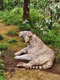 野生動物會咬人？NO！是會萌的沒邊