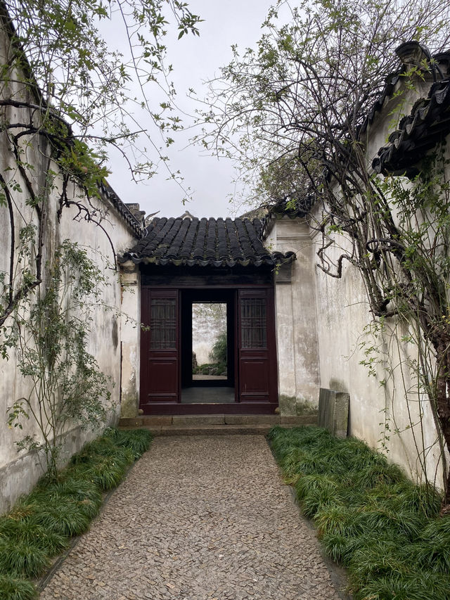 蘇州藝圃：明代文人園林的隱世佳作💫 