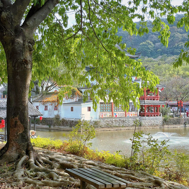 《差點錯過這些超值體驗！景區玩得爽，竟然是因為…》