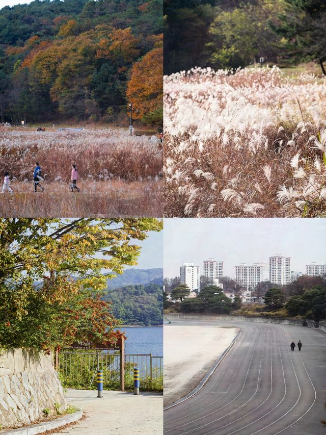 韓國小眾旅行地，清州旅遊攻略！