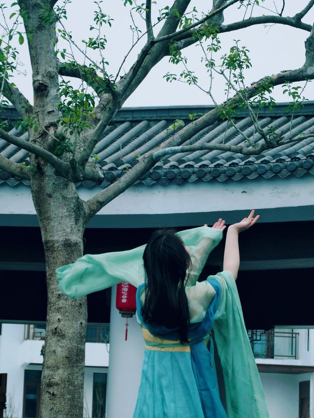 春天打卡位—真係好靚呀！！！