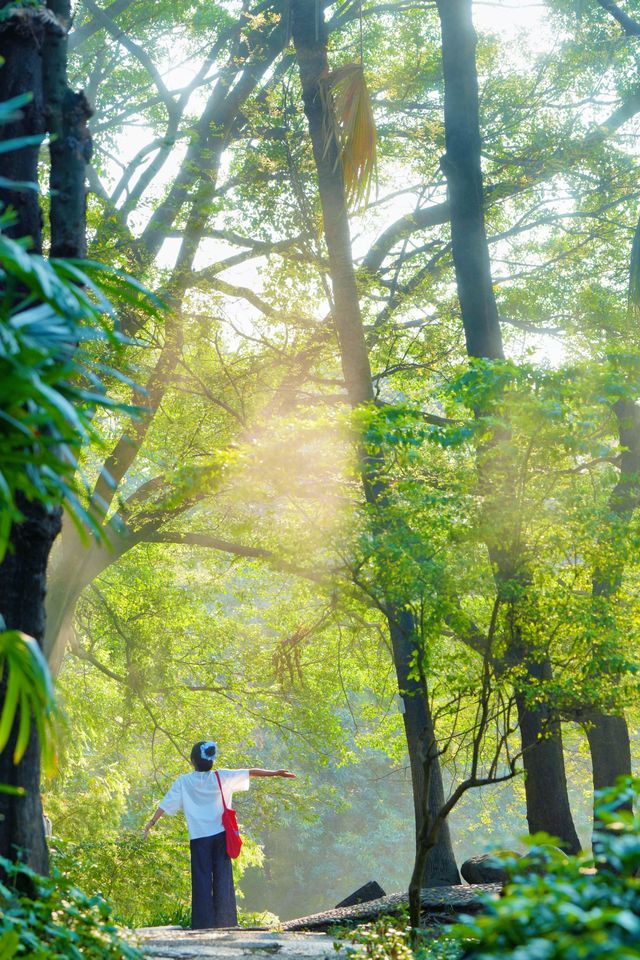 美哭！沒有哪個公園能比它更懂拿捏春和景明了