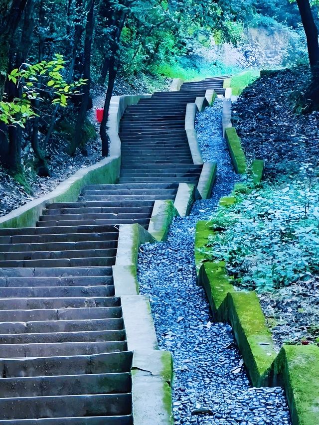 昆明周邊遊｜城市一角，妙高寺，春日賞花好去處～