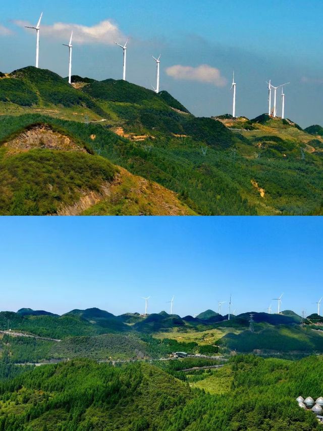探索貴州六盤水梅花山，美不勝收！