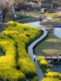 春分限定 南北湖油畫花海封神出片