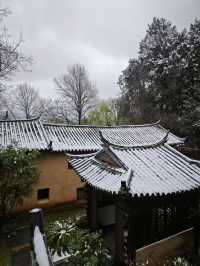 春之雪-專屬春天的浪漫
