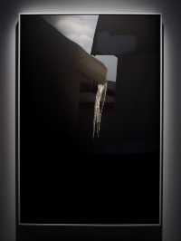 蘇州河畔一票多展｜人人都來做攝影師！