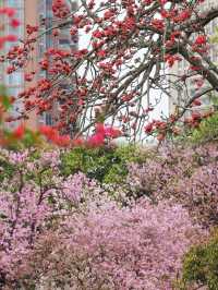廣州東山湖公園適合一個人發呆的地方