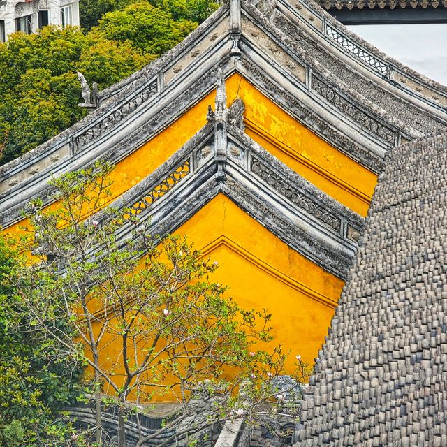 蘇州一日遊已回！一日速刷指南請收好