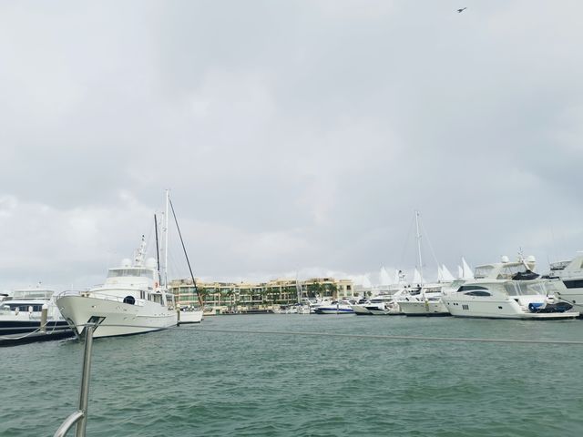 快樂行動派丨雨天遊艇出海，意外偶遇海豚