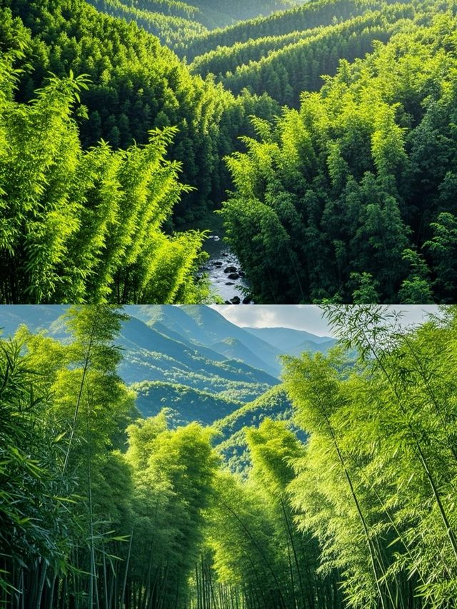 蜀南竹海，川渝周邊，滿眼青翠，人間仙境。