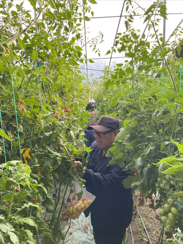 僅此一次，爸媽就對這家酒店念念不忘，憑什麼？