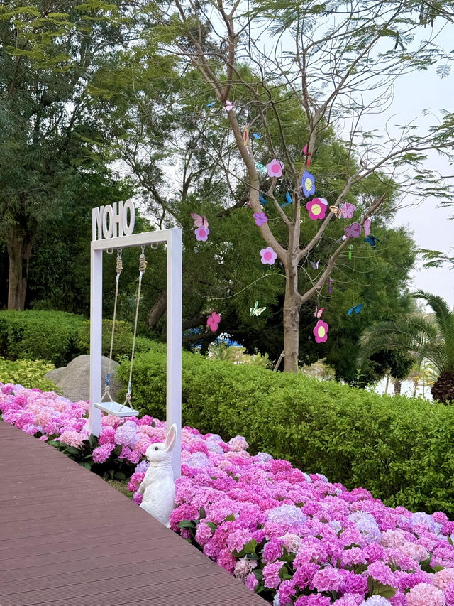 🌷珠海新貌 | 治愈系花海棧道，美翻啦🌸