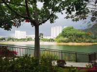 《湖光之間，安放片刻靈魂》☁️🌿｜陽春東湖公園散步隨筆