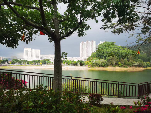 《湖光之間，安放片刻靈魂》☁️🌿｜陽春東湖公園散步隨筆