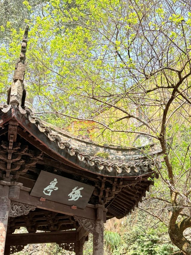 驚爆！神仙居背後竟藏著不為人知的秘密