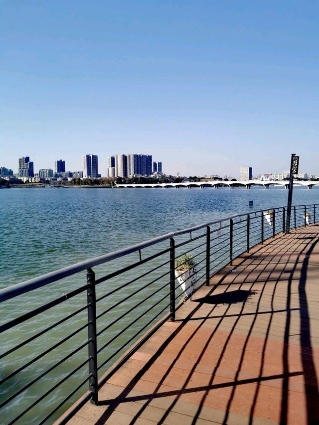 Serenity by the Water