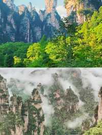 帶上這份攻略，開啟一場「阿凡達」式的奇幻之旅吧！