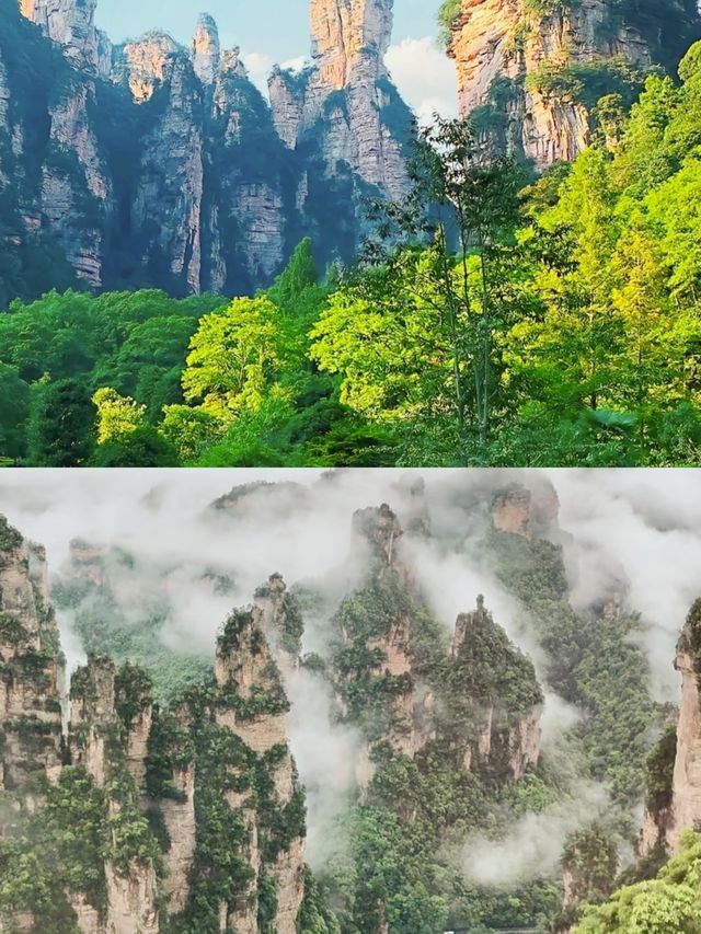 帶上這份攻略，開啟一場「阿凡達」式的奇幻之旅吧！