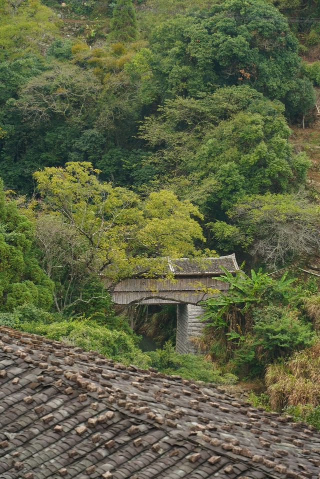 德化濟美橋（二）