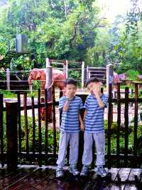 新加坡動物園會懲罰每一個唔做攻略嘅人