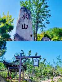 🔥 說走就走的東海「躺平游」有多爽？🔥