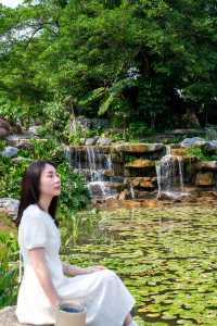 東莞如果只去一個地方，那一定是植物園！