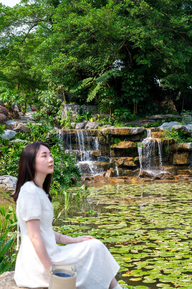 東莞如果只去一個地方，那一定是植物園！