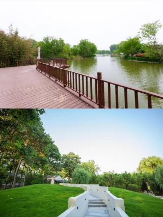 Puyang Mountain Wilderness: A Healing Retreat with Cloud Seas and Streams