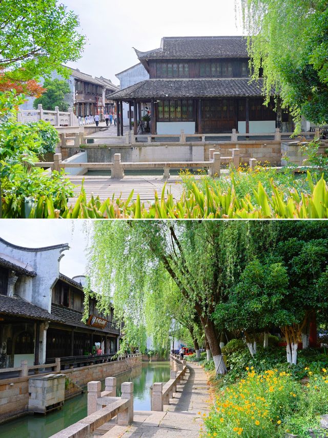 藏在嘉興嘅江南秘境！月河歷史街區沉浸式遊玩手冊