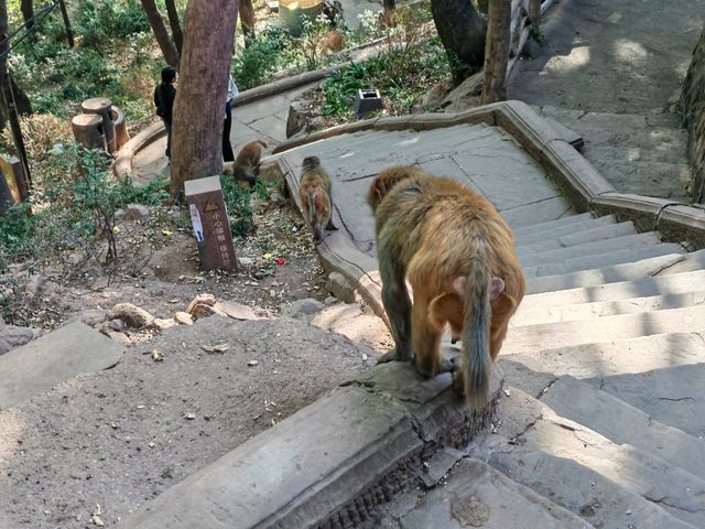 探秘川南勝境｜西昌瀘山雲端之旅