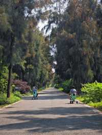 漩門灣濕地公園冇人嘅感覺實在太正啦