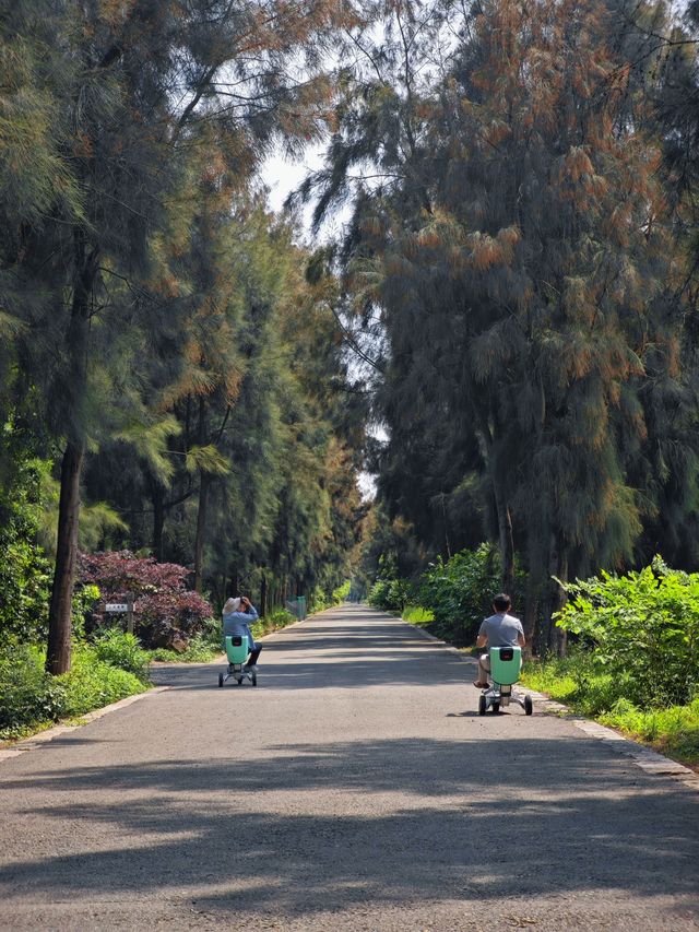 漩門灣濕地公園冇人嘅感覺實在太正啦