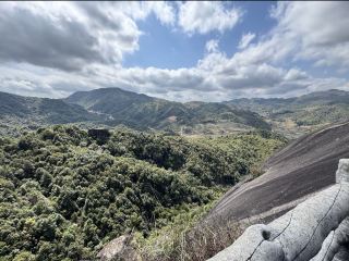 Fujian Anxi | Hidden Gem Yimping Mountain, Enjoying Tea in the Famous Tea Mountains is Pure Bliss