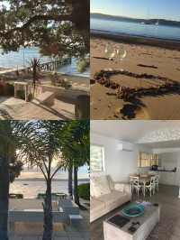 新西蘭Kawau島嘅隱秘瑰寶 | The Beach House   酒店：The Beac