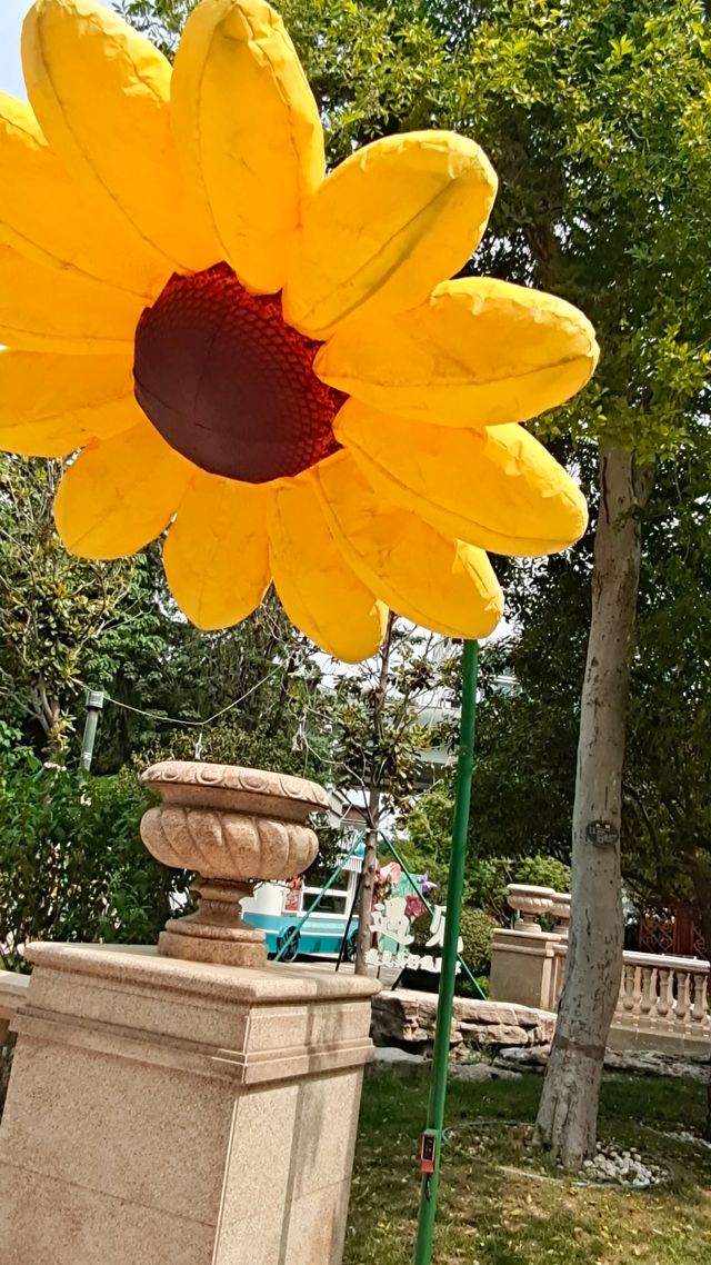 淺夏盛流年，人間芳菲染！