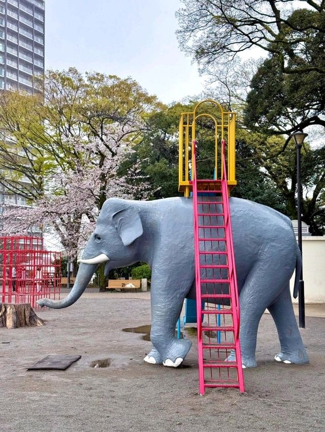 東京飛鳥山公園交通攻略：邂逅雨中童話與浪漫櫻花 